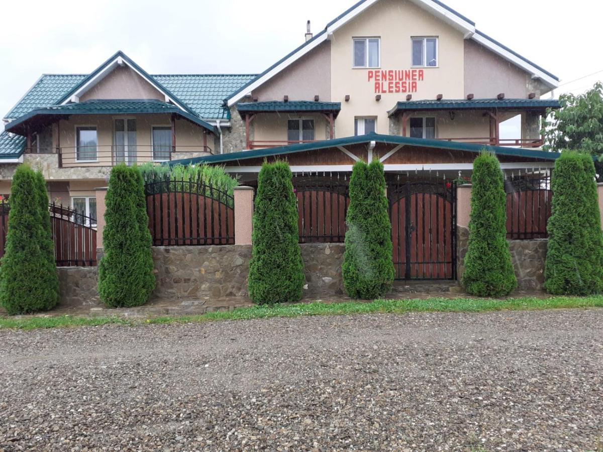 Pensiunea Alessia Piatra Neamţ Exterior foto